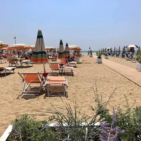 Olanda -